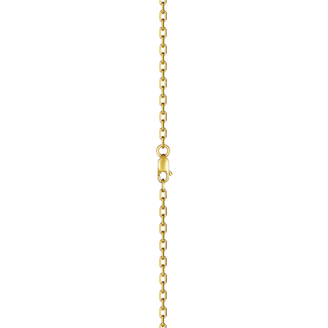 MoAnA LUU Doudou chain in 18K yellow gold, featuring lobster lock. 